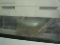 Щеточно-шлифовальный станок CDR-1000 HOLYTEK