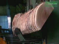 Пилорамы ленточные вертикальные Ustunkarli UHM