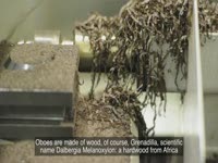 Rigoutat: Высокой похвалы за Hautbois - Хаас клиентов документальный