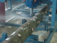 "Вятка 600", угловая пилорама, 2010 год.