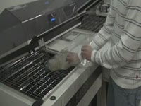 Упаковка скотча по 6 штук