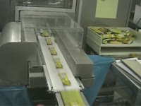 APL-Scirocco-Tornado упаковка сыра