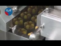 Отсадочная машина 3-х бункерная Triomax для печенья