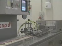 BG 2800 упаковка сыра