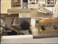 Батон_нарезной_280х80х60 упаковка Flow-pack, ЛИЗИНГ