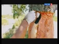 Пробковое напыление ISOCORK теплоизоляция фасадов