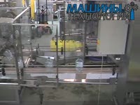 Automatic filling line LR 5-500 with riser & labeller for excise stamp