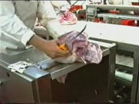 Шкуросъемная машина NOCK 460