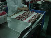 Перекидная вакуум-упаковочная машина DZ500