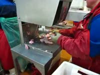 Дисковая пила для разделки птицы