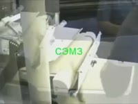 Тестозакаточная машина Subal MSbMontana