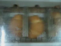 Оборудование для круассанов