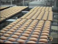 Baker-Group. Кондитерское оборудование. Cup Cakes production line.