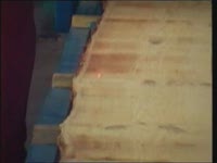 Станок многопильный СПО-АСТРА-Р3