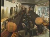 Лесопильная линия Giga03. A.COSTA Righi