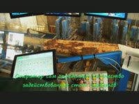 MEM Каретка DGP