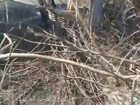 Измельчитель древесных отходов