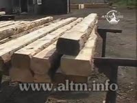 Пилорама 4-х дисковый брусовочник Алтай - Мамонт