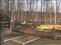 Мобильная пилорама Logosol M7 - корень обработки