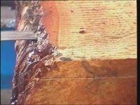 Ленточная пилорама ПЛП-АСТРА-ЕС