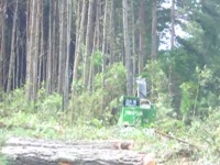 Валочно-пакетирующие машины John Deere 753 G