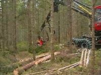 Феллер Buncher Valmet 445EXL - Komatsu