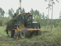 Форвардер Tigercat 1055 биомассы
