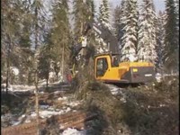Валочная головка Log Max 7000 на Volvo Forestry Excavator