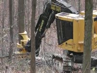 Feller Tigercat LX830C с головкой FC5185 Bar Saw