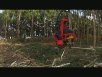 Валочная головка SP Maskiner 591 LX Окорка эвкалипта