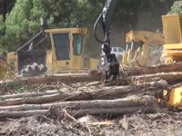 Погрузчик Tigercat 215 на силу CBI Magnum цеп 604