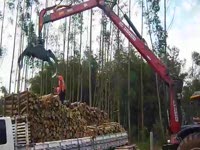 Лесной кран Penzsaur