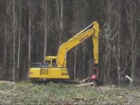 Valmet валочная головка 378