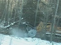 Мульчер Tigercat 480