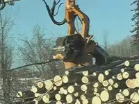 Tigercat TH575 уборки головы