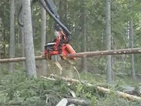 Комбайн голова SP 451 LF на Gremo1050H