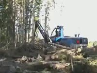 Харвестер Rottne H 14