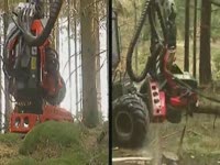 Презентация SP 451 LF - A Big Little харвестерная головка