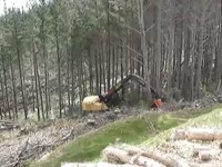 Tigercat LH855C с руководителем направления рубки