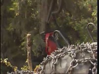 Харвестерная головка Komatsu Forest 360,2