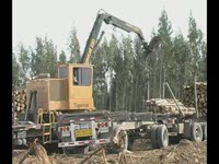 Вход погрузчик Tigercat 220