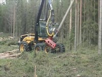 Лесозаготовки голова журнала Макс 5000D на эко журнала 560 C