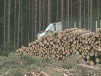 Экспедитор Джон Дир 1910E