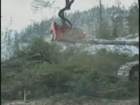 Вход макс 7000XT на CAT 320 CL