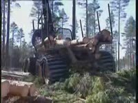 Форвардер Rottne SMV Rapid