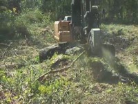 МУЛЬЧЕРЫ Данис Cimaf ДАХ для экскаватора