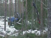 харвестер Rottne H-14 с SP Maskiner 451LF