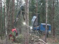 Харвестер Rottne H-8 с SP Maskiner 451LF