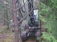 Timberjack 1070D комбайн с SP451 уборки головы