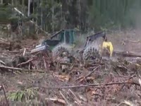 Приспособление трелевочное ПТН Джон Дир 648GIII